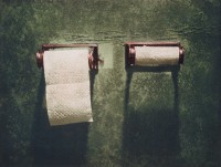 http://www.sookangkim.com/files/gimgs/th-10_toilet-paper.jpg