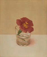http://www.sookangkim.com/files/gimgs/th-18_능소화.jpg