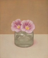 http://www.sookangkim.com/files/gimgs/th-18_메꽃.jpg