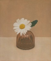 http://www.sookangkim.com/files/gimgs/th-18_샤스타데이지.jpg