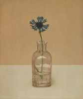 http://www.sookangkim.com/files/gimgs/th-18_수레국화.jpg
