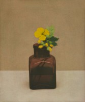 http://www.sookangkim.com/files/gimgs/th-18_애기똥풀.jpg