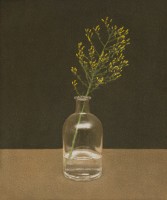 http://www.sookangkim.com/files/gimgs/th-18_애기망초.jpg