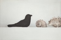 http://www.sookangkim.com/files/gimgs/th-5_bird-and-seashells_v2.jpg