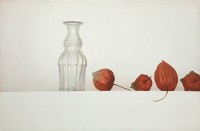 http://www.sookangkim.com/files/gimgs/th-5_bottle-and-ground-cherries.jpg