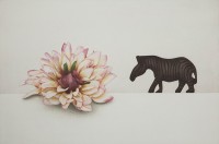 http://www.sookangkim.com/files/gimgs/th-5_flower-and--zebra.jpg