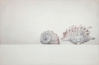 http://www.sookangkim.com/files/gimgs/th-5_seashells.jpg