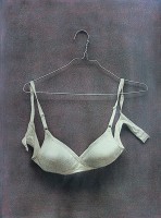 http://www.sookangkim.com/files/gimgs/th-9_innerwear-bra.jpg